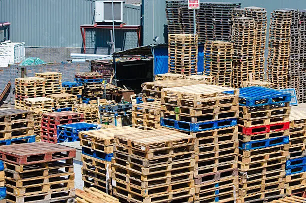 Báo cáo về Pallet 2024: Khám phá các lựa chọn Pallet, kích thước và vai trò trong vận hành kho bãi