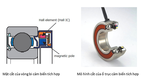 Cảm biến SAS & công tắc