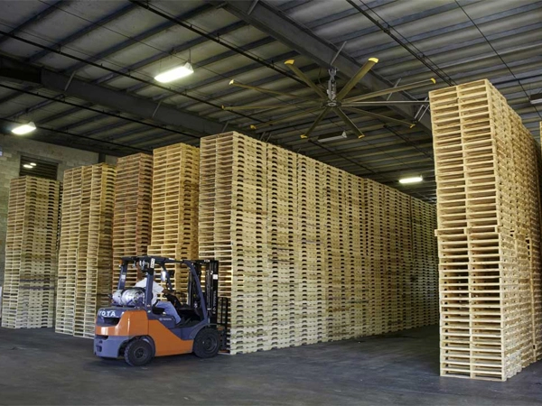 Báo cáo về Pallet 2024: Khám phá các lựa chọn Pallet, kích thước và vai trò trong vận hành kho bãi