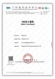 Báo cáo thử UN38.3 pin lithium xe nâng Interlift