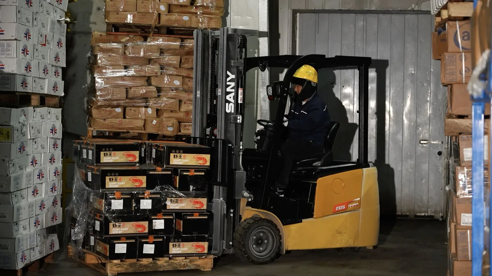 Xe nâng điện 3 bánh Sany SCP16S làm việc trong kho lạnh