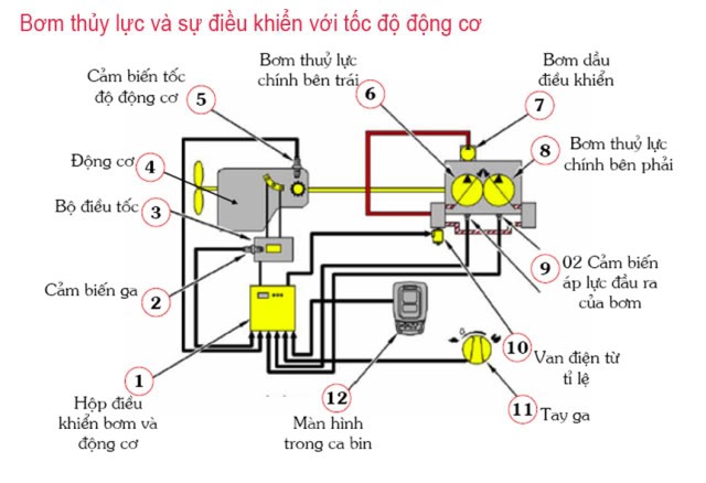 Thủy lực xe nâng: Nguyên lý, sửa chữa và thay thế phụ tùng