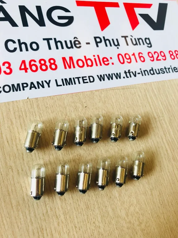 Bóng halogen thuỷ tinh 48V 5W P.00207 xe nâng điện